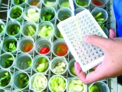 姜、豇豆农药超标！深圳2卖场蔬菜抽检不合格