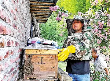养鸡养蜂还种树 福永街道对口帮扶龙川县上坪镇青云村脱贫啦