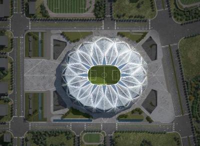 许家印构思的恒大足球场设计方案获全票通过，总投资120亿