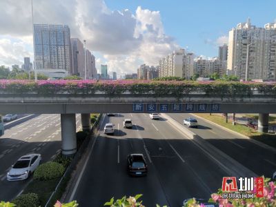 “限外令”恢复首日，深圳早高峰的交通情况如何？