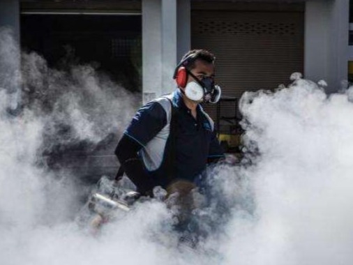 新加坡今年本地登革热病例超17000，中使馆发提醒