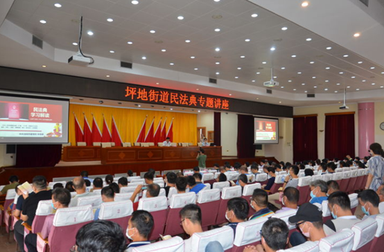 为基层干部送上法治“大餐”！坪地街道举行民法典专题讲座  