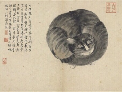 庄子不养猫：中国古人为什么养猫？