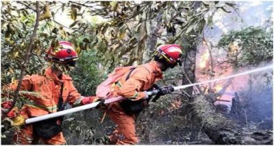 深圳完善森林火灾应急预案 对预警响应灾后处置等提出新要求