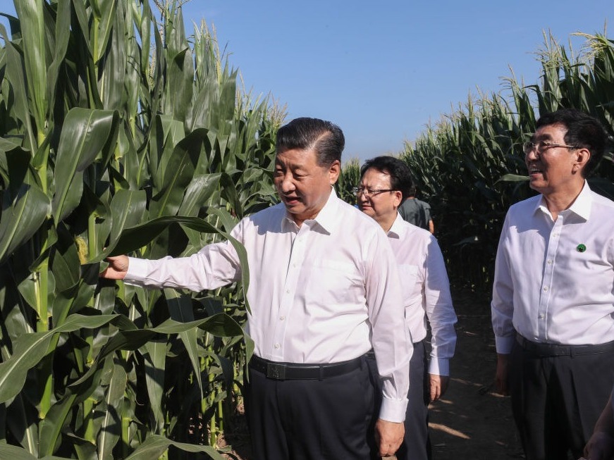 一见·总书记心中的治国理政头等大事