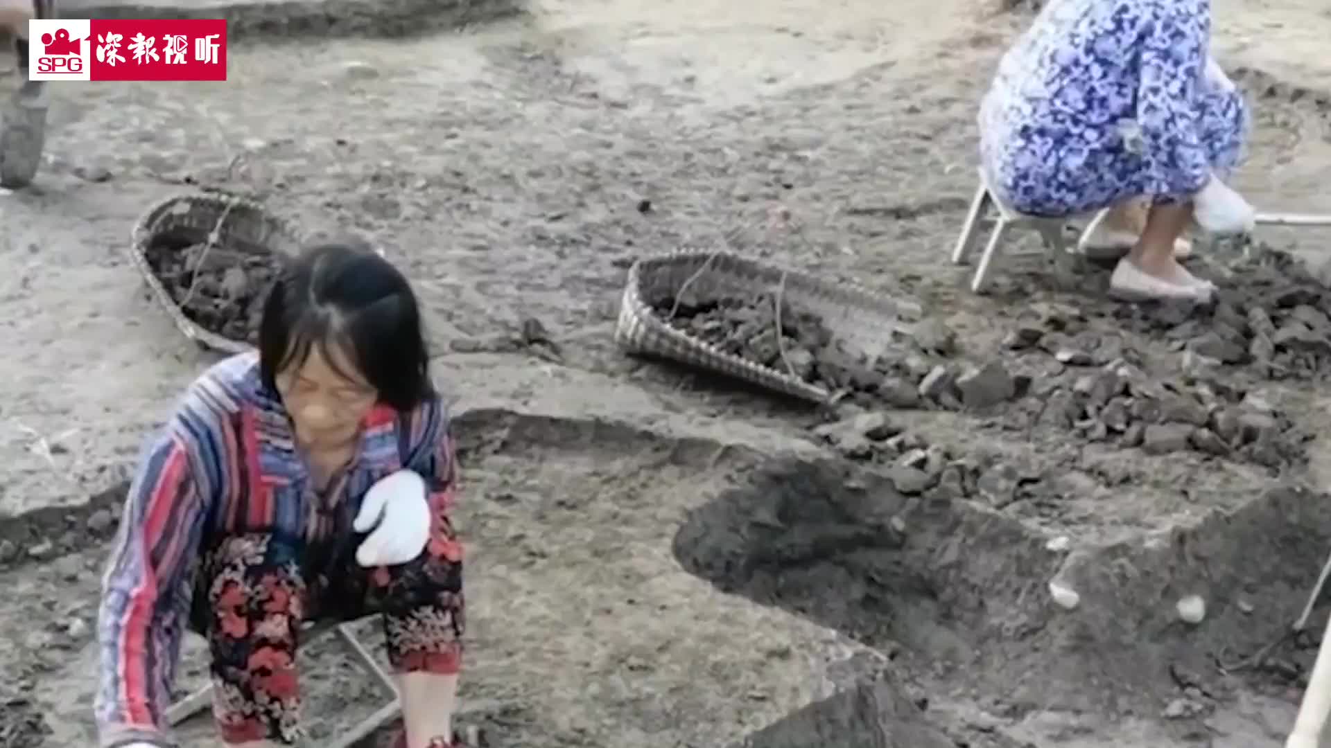 超可爱！三星堆出土3200年前陶猪，网友：是愤怒小鸟中的猪猪本尊了
