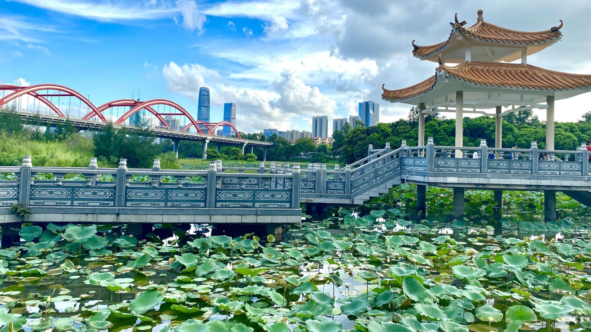 安排上！这周末去罗湖这些地方打卡去！