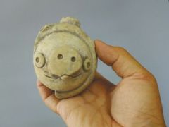 《愤怒的小鸟》同款“猪”出土 呆萌可爱引热议