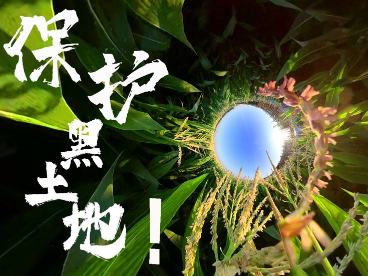 独家V观丨牢记总书记嘱托 保护我们的黑土地