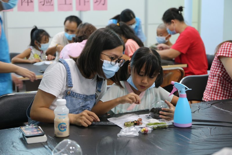 新湖V爱之家：种植绿植，和爸爸妈妈一起装饰“小家园”    