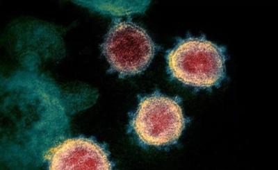 最新研究显示：新冠病毒或已变异 传染性更强