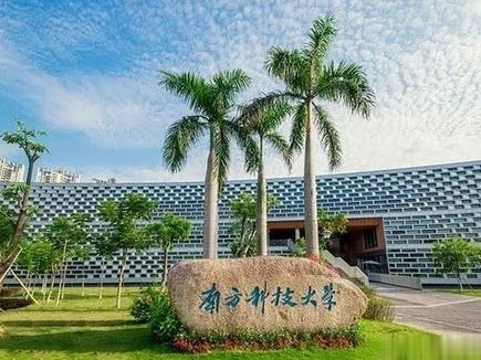 南科大2020届毕业生大数据出炉，超六成毕业生选择升学深造