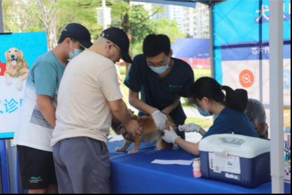 33家宠物医院可提供犬只芯片植入服务  福田区启动2020年文明养犬宣传暨犬只芯片注射进社区活动  