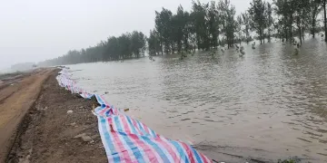 应急部：出现类似1998年持续两月集中降水的可能性不大
