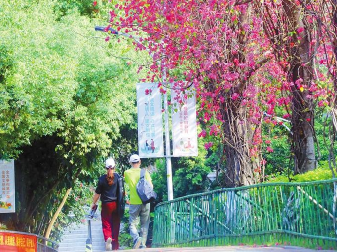 走向我们的小康生活｜推窗见绿 开门见园 四季见花，深圳市民乐享“绿色福利”