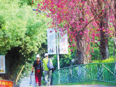 走向我们的小康生活｜推窗见绿 开门见园 四季见花，深圳市民乐享“绿色福利”
