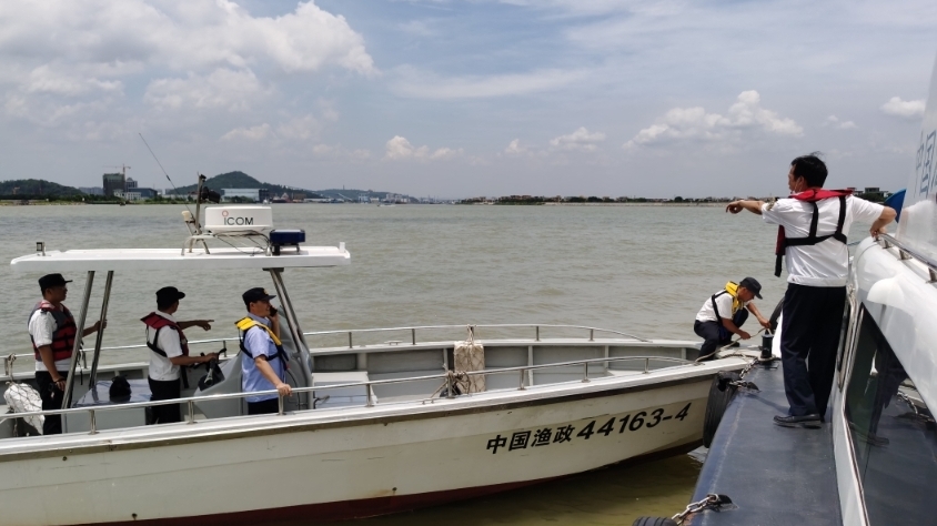 浮莲岗水道两船相撞致两人落水，一人获救一人失联