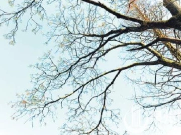春华秋实的文化记忆  