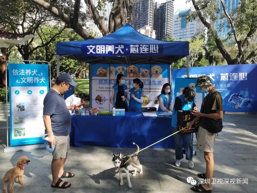 10月起，你家的狗狗未植入芯片，将被视为无证养犬！