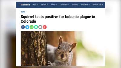 美国科罗拉多州一松鼠感染鼠疫，系当地首例