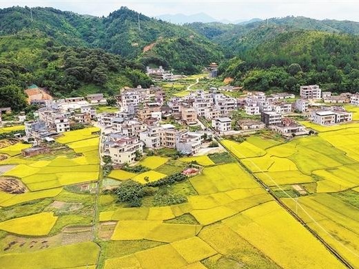 走向我们的小康生活 | 深圳巴士集团对口帮扶贫困村脱贫奔小康