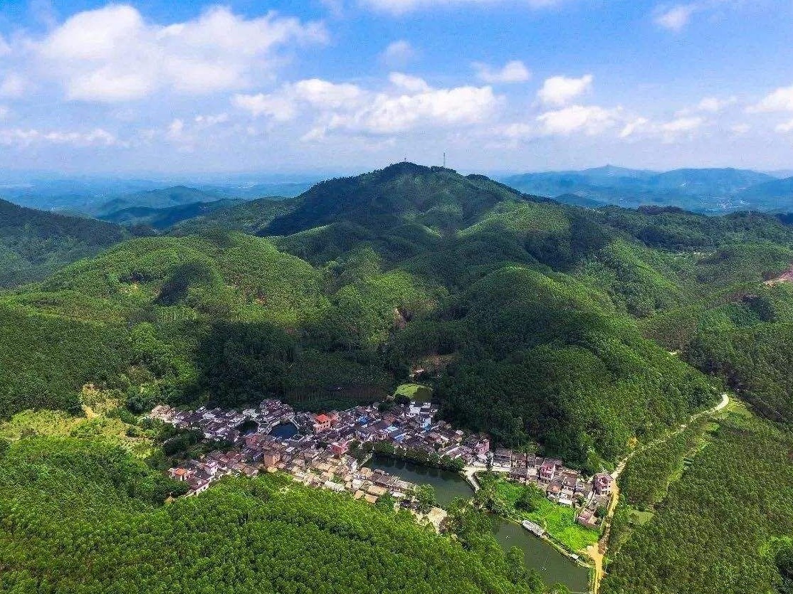 佛山高明缤纷林海旅游线路获省级认证线路