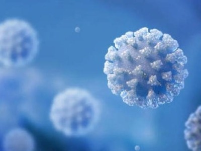 英国新研究发现源自大羊驼的抗体可中和新冠病毒