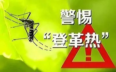 江苏句容通报1例登革热病例详情 从柬埔寨回国