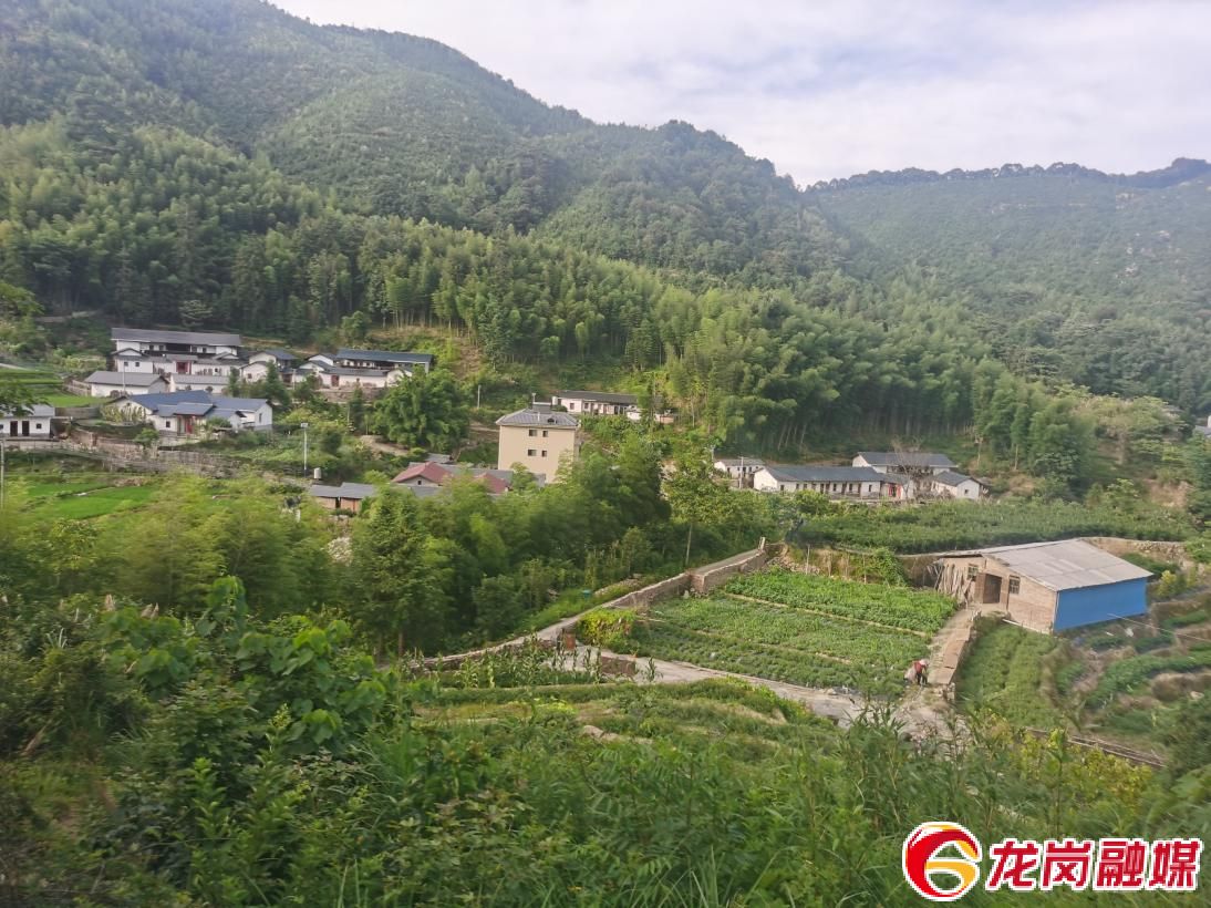 布吉探索“红色帮扶”新路子，为寻乌革命老区脱贫造血！