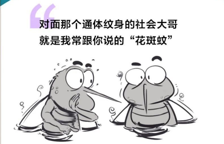 注意！家里有积水的地方一定要清理干净，不然……