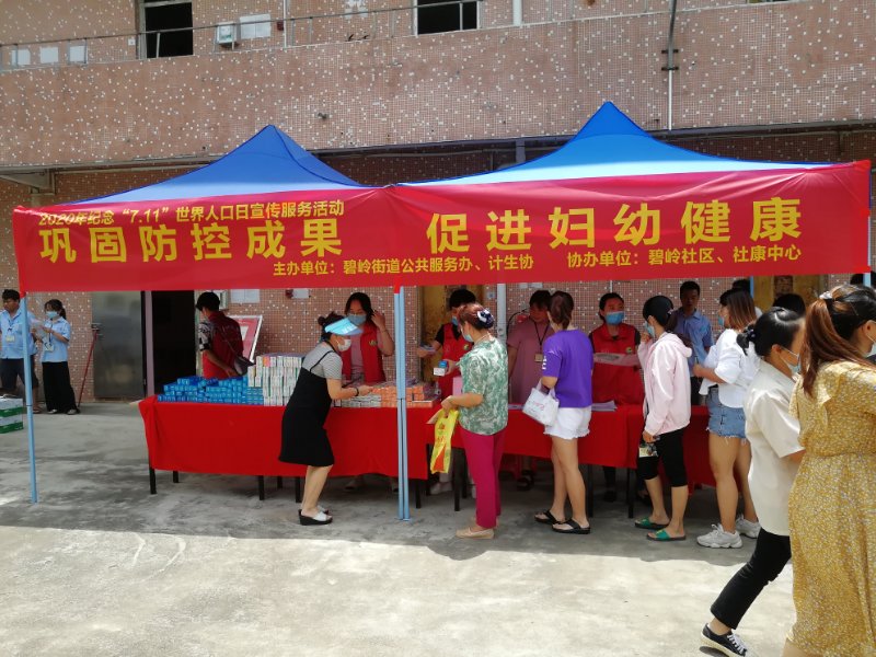 碧岭街道开展世界人口日主题宣传服务