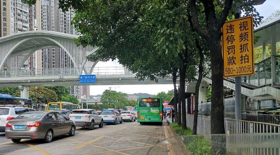 @龙岗人，看到这些行为请举报！经查实有奖励