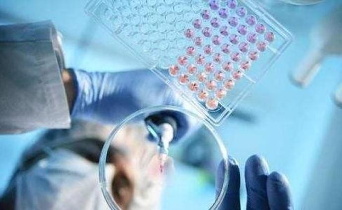 美国新冠病毒感染病例超过278万，新增近4.9万例