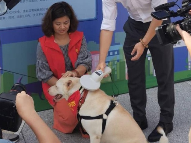 深圳养犬管理出新招 城中村“123”养犬管理模式现场会举行