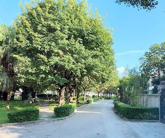 （早班·龙岗）帮助居民解决家门口内涝问题！坪地街道大力推进河道整治
