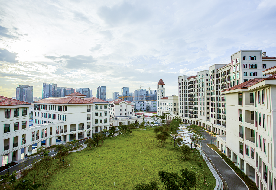 龙岗区全力推进教育医疗等重大民生项目建设，聚力促进经济高质量发展和民生改善