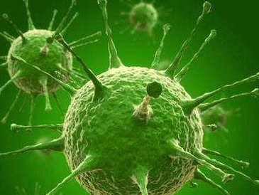 中国首个由昆虫细胞生产的重组蛋白新冠疫苗获临床试验许可 
