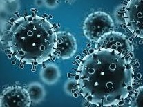 世卫：尚不确定人体感染新冠病毒后产生免疫反应的强度和持续时间