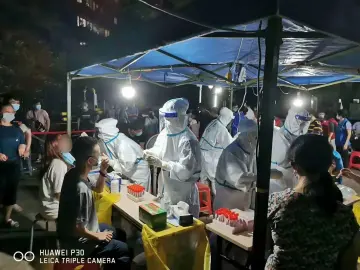 罗湖超28万份采样结果已出！这组图片带你了解数据背后的故事
