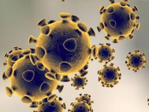 感染新冠后为何得重症？《科学》：免疫偏差和失效可能是主因