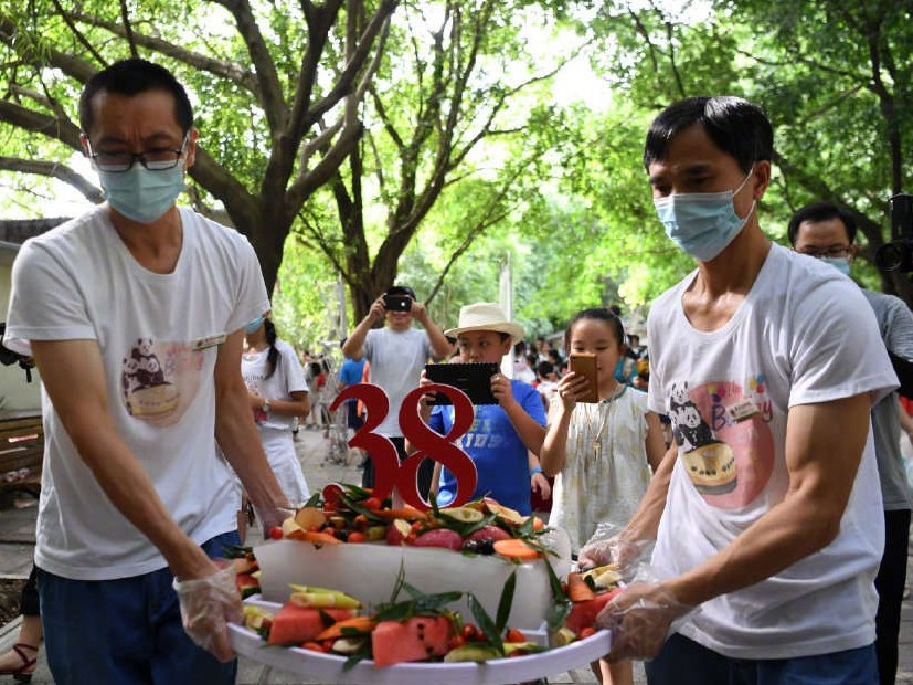 生日快乐！世界现存最年长大熊猫迎来38岁生日