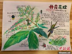 粤港澳250名选手丹霞山开展自然笔记创作大赛