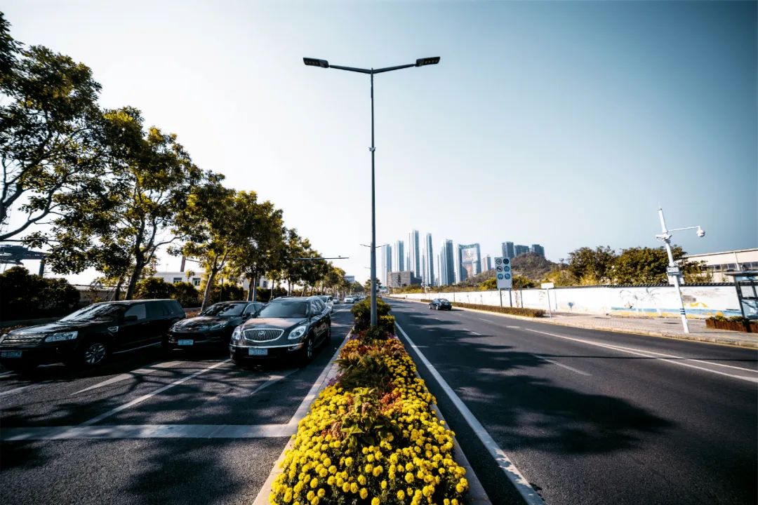 区事一起飞在沙河西路上御风而行