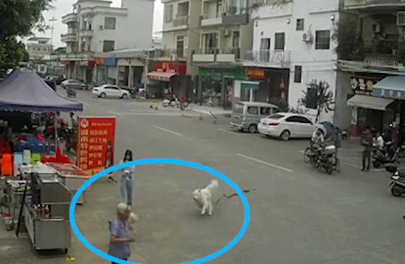 广东顺德一老人被狗绳绊倒身亡，当地警方介入调查