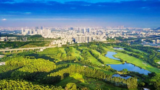 @光明人，光明的大街小巷发生了这些变化……