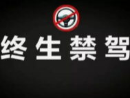 广东省新增61人被终生禁驾，年纪最小仅20岁！