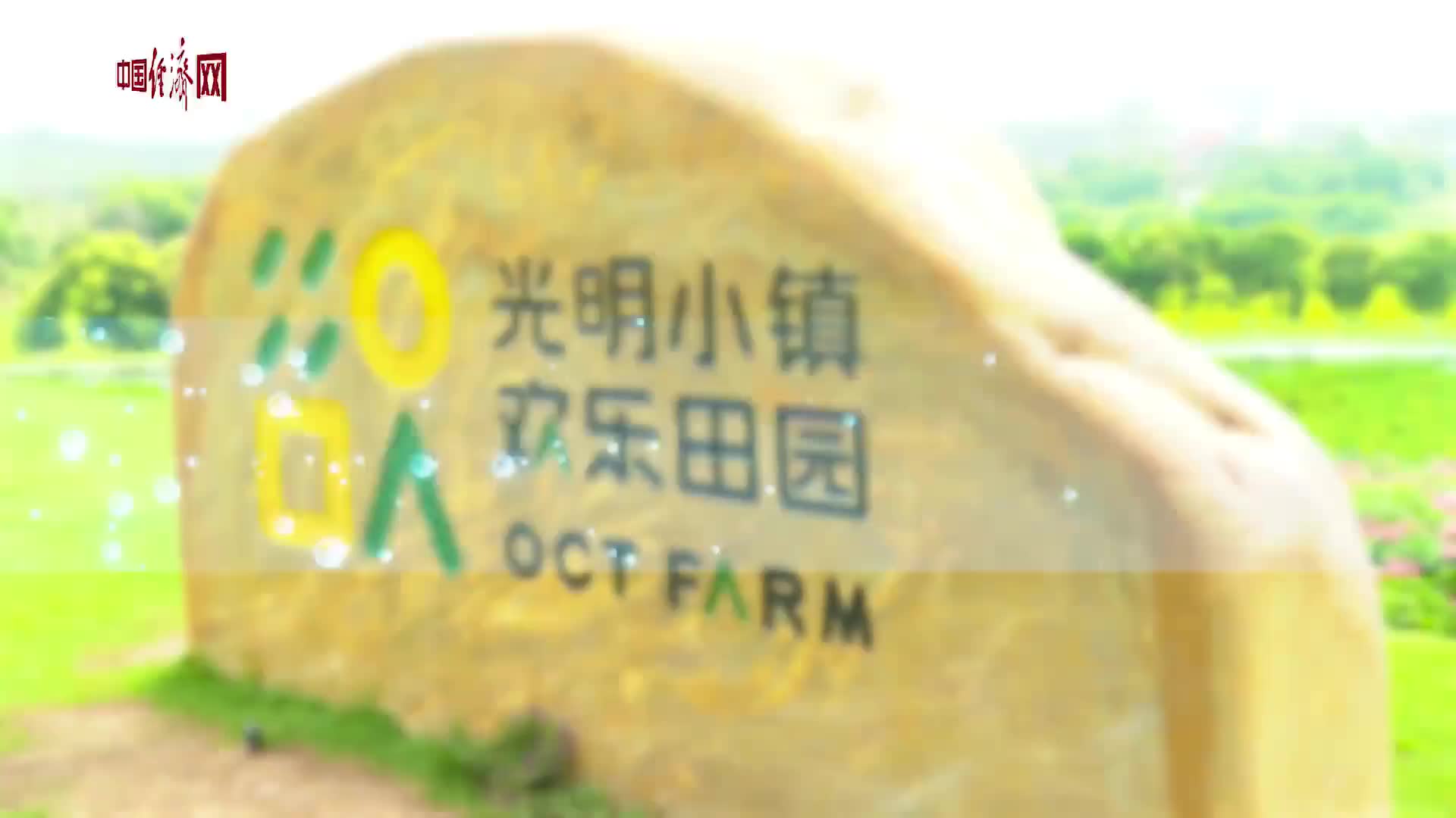 视频 | 微观特区：光明科学城有哪些不一样？