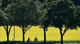 疫情令德国自行车零售商受益：为防止感染避免使用公共交通