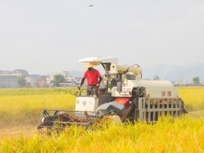 超额完成国家任务！广东早稻总产量增长6.2% 