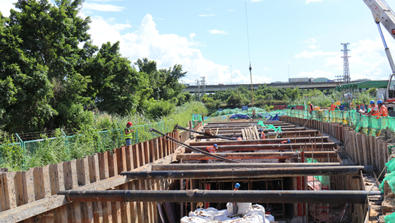 平湖今年将建近十公里碧道